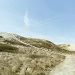 Atmosphere Close To Water Surrounded By Pines Hvide Sande