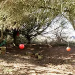 Atmosphere Close To Water Surrounded By Pines Holiday home