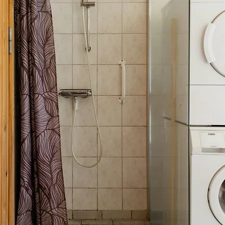 Atmosphere Close To Water Surrounded By Pines
