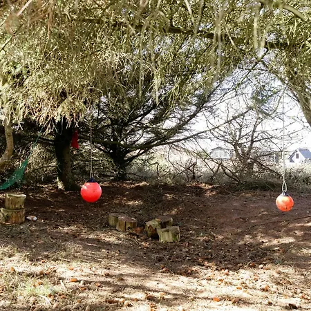 Atmosphere Close To Water Surrounded By Pines 펜션