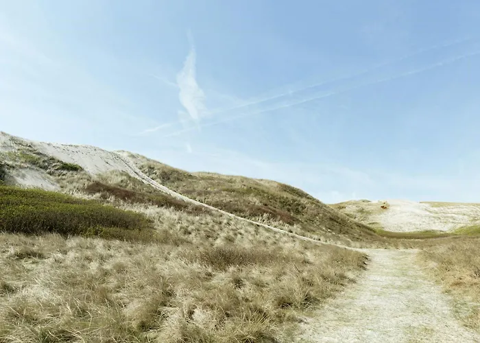 Atmosphere Close To Water Surrounded By Pines Hvide Sande